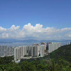 姚松炎研究團隊，成員包括鍾浩正、鄭嘉欣、王潔竹、楊詠儀、關曉彤、陳楚盈、吳思揚、何雅心