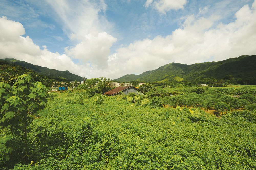 社山村背靠枕山，又被樹林所包圍，遠遠看去鬱鬱蔥蔥， 景色怡人。