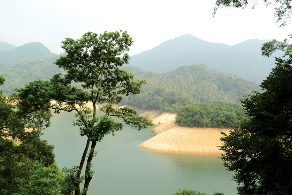 城門水塘的後方是獅子山。