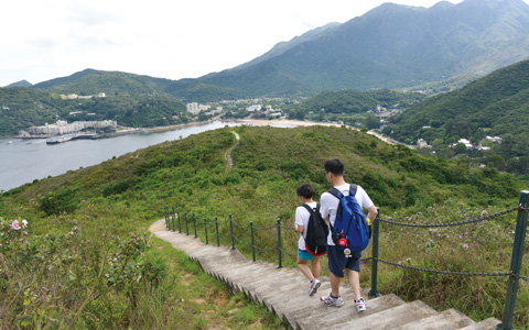 離島自然觀察選粹