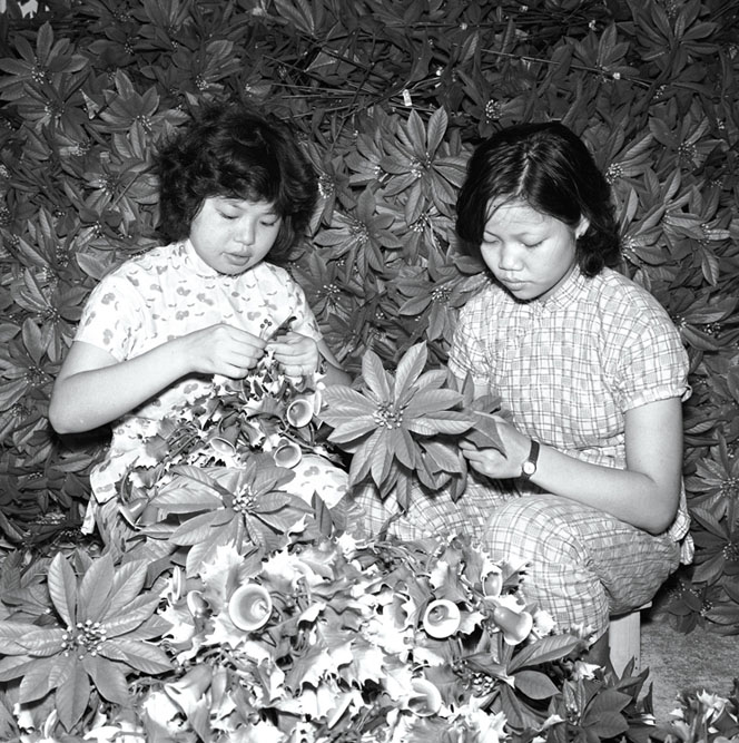 塑膠花廠的工人除了在工廠工作，不少工序更會帶 回家中，藉此幫補家計。