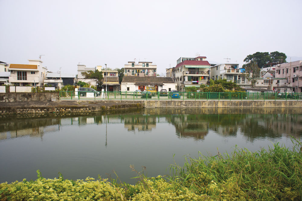 虎地排