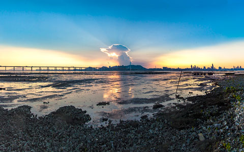 流浮山產物備忘－夕陽下默默求存的蠔