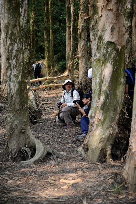 城門水塘的路線四通八達，假日常有遠足人士前來郊遊。