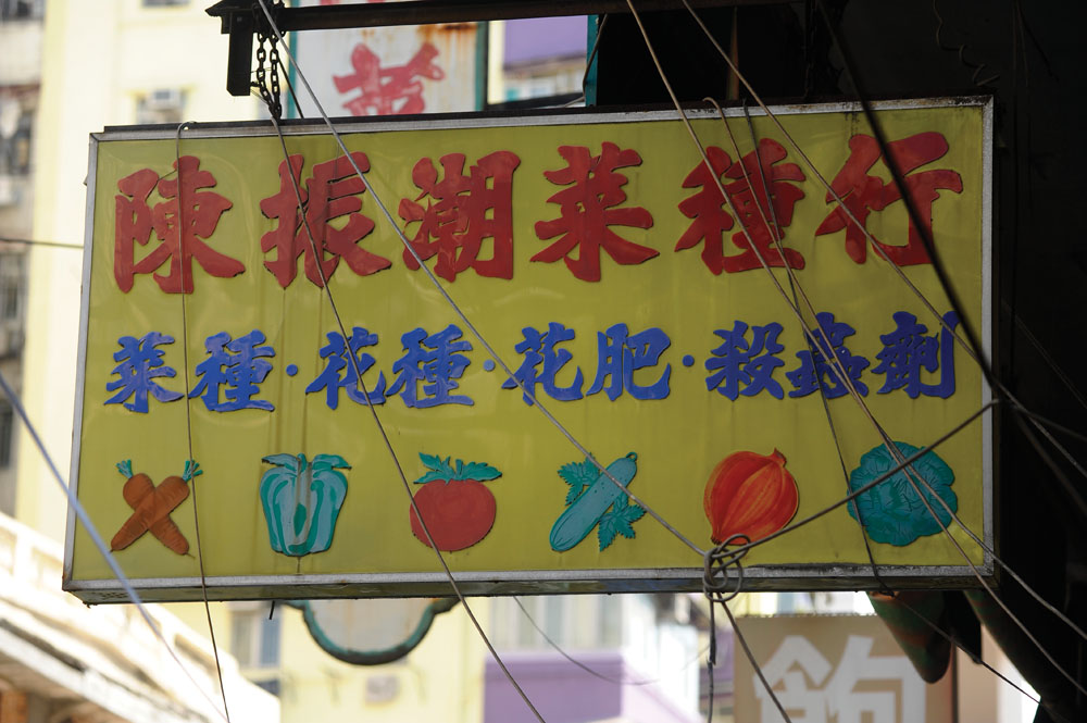 老店售買貨品包羅萬有，招牌上亦發現一些花果圖案。