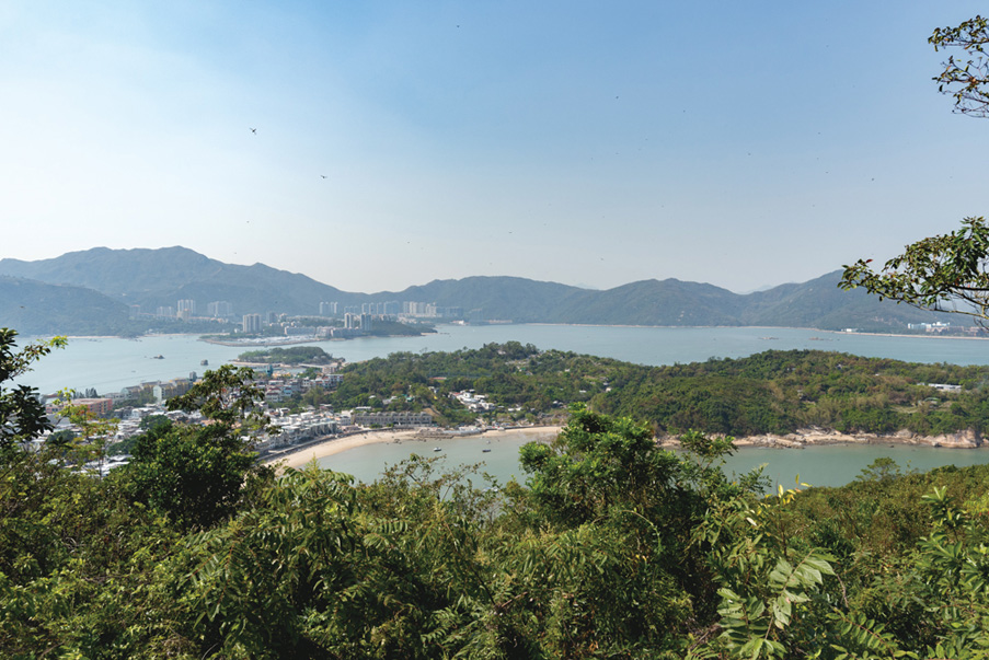 坪洲歷史