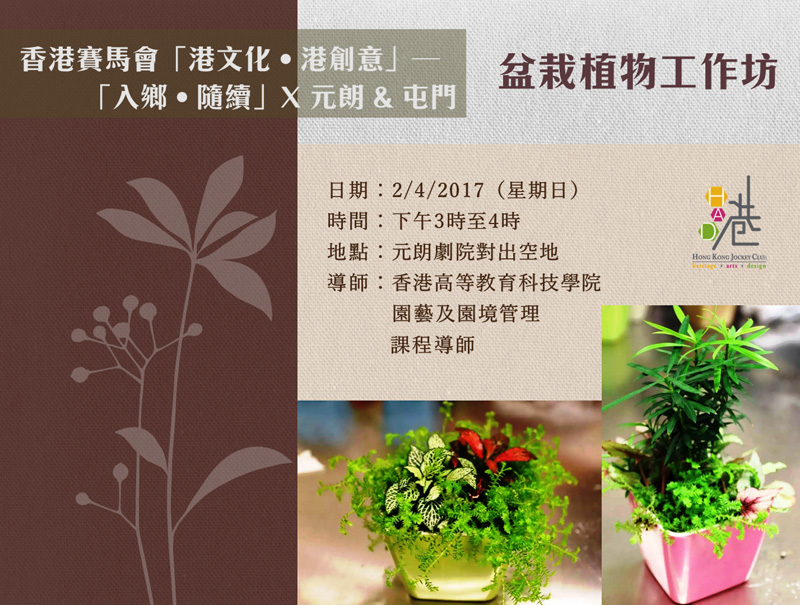 盆栽植物工作坊