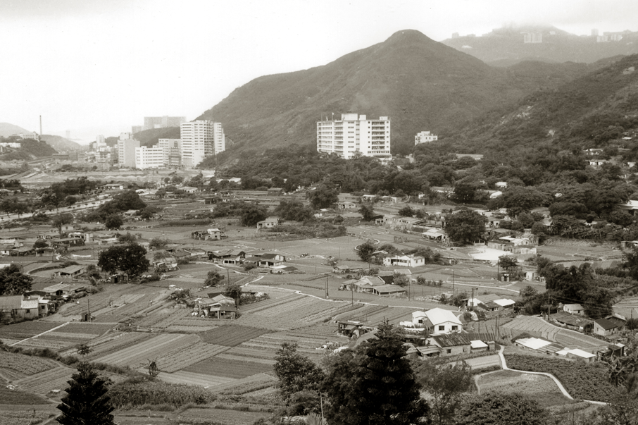 1970年代黃竹坑的農田