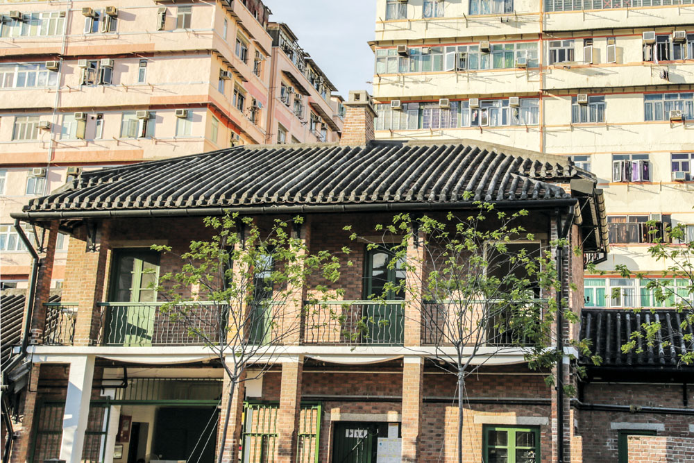 牛棚對面是「十三街」的住宅樓宇。