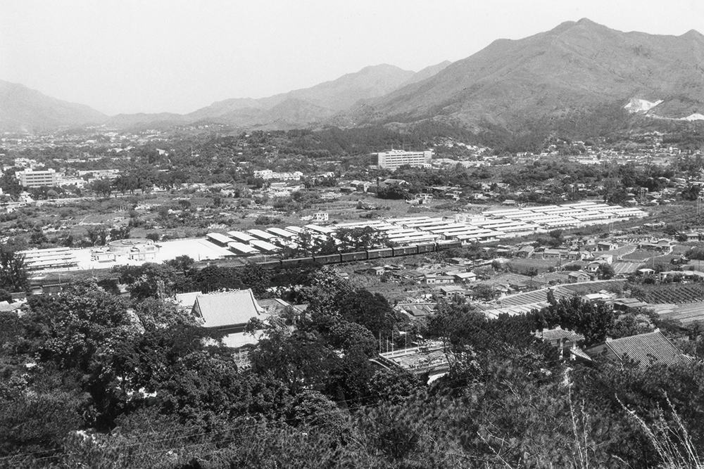 粉嶺歷史