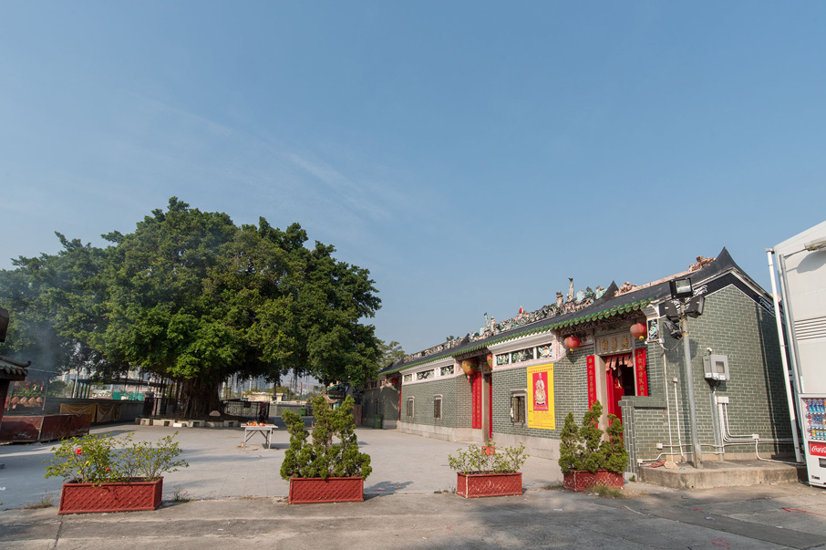  大樹下天后古廟是元朗十八鄉鄉民的宗教中心。