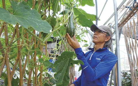 孫樹坤