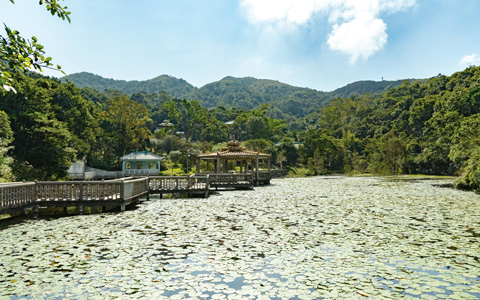 龍仔悟園