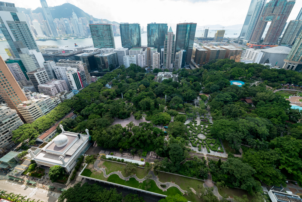 九龍清真寺後的九龍公園， 是九龍區第二大公園，前身是威菲路軍營。