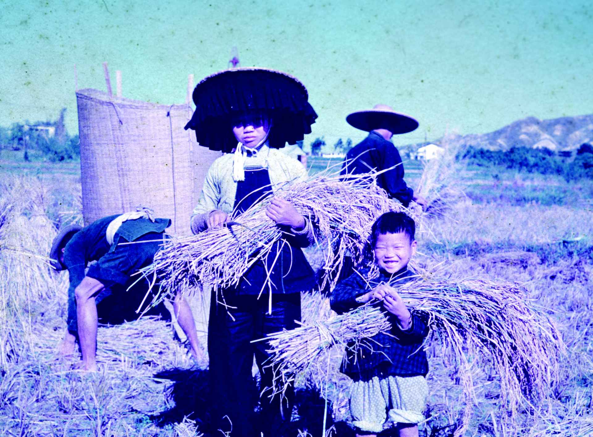 繁衍後代，繼後香燈是中國人的重任。「過房」也是無可奈何下的方法。（圖片/ 香港社會發展回顧項目）