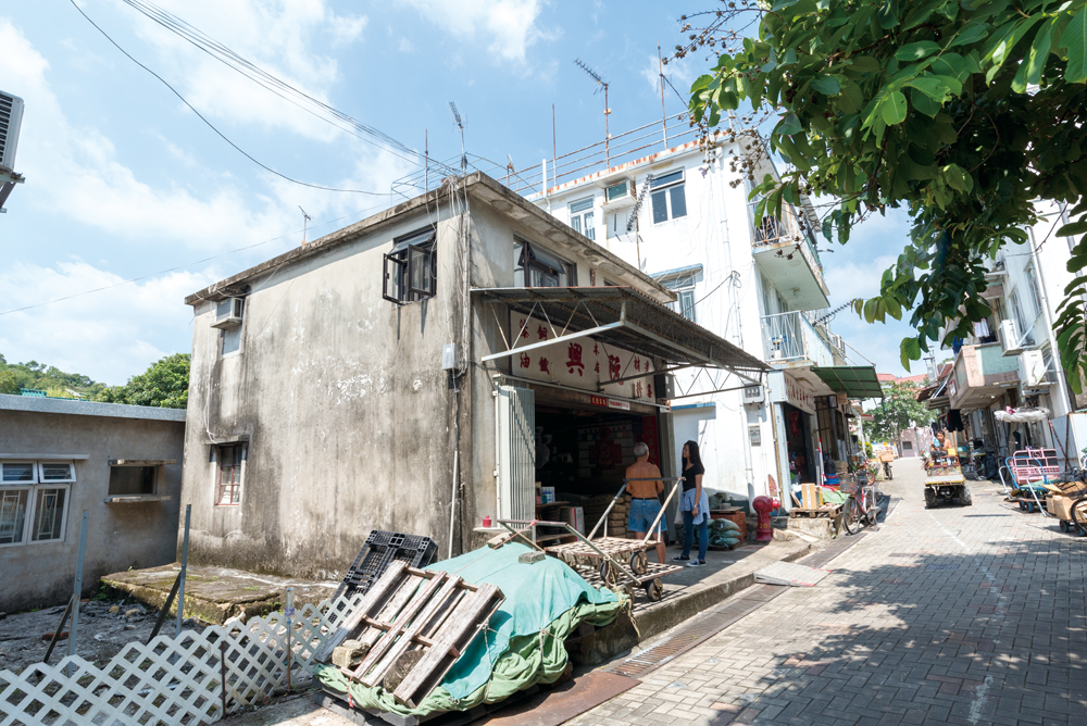 四周建有新村屋。對比阮興的舊屋，相映成趣。