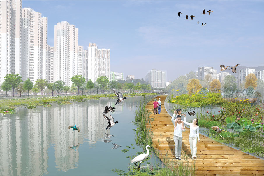 圖3: 濕地復育區合成照片