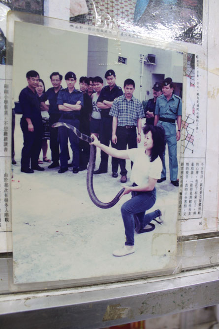 嘉玲姐捉蛇捉到上報紙電視。80至90年代初，《歡樂今宵》會找她跳蛇舞，電影公司拍戲與蛇做對手戲，一定找她協助。