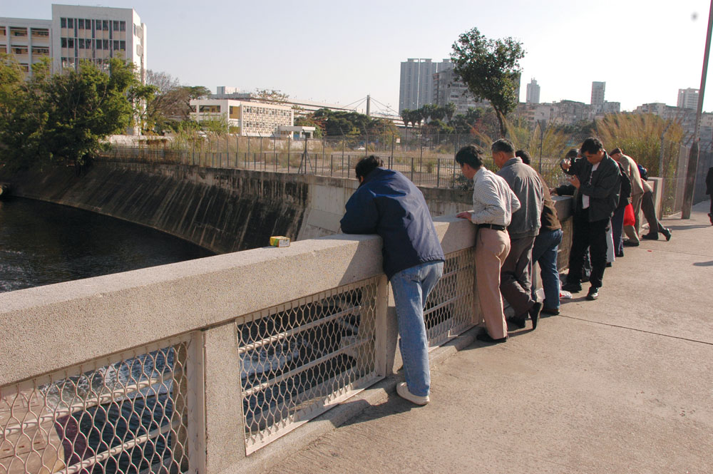 經過淨化的啟德河，水質改善，多了魚類活動，引來不少街坊垂釣。