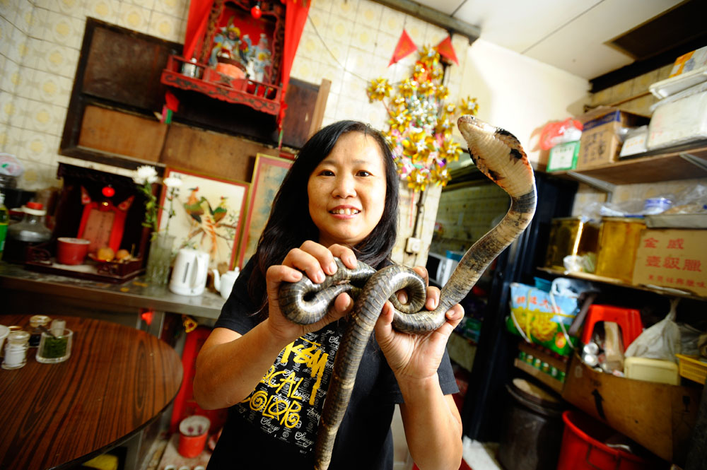 女蛇王嘉玲姐，十三歲入行跟隨父親賣蛇、烹蛇、捉蛇，對蛇早已無懼，更是政府御用的捕蛇專家。