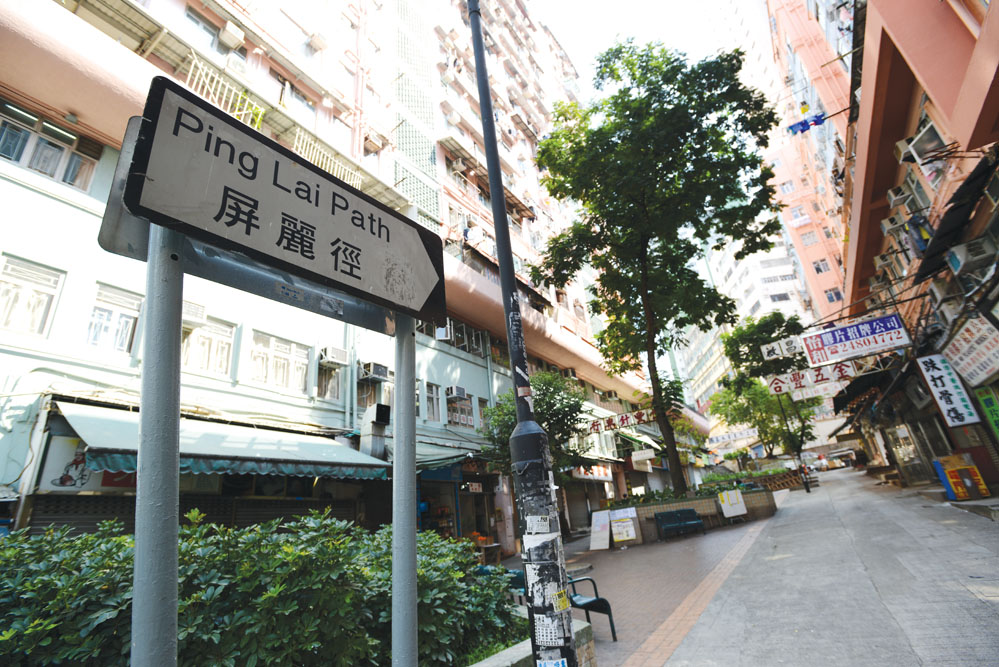巴基斯坦社區— 屏富徑、屏麗徑
