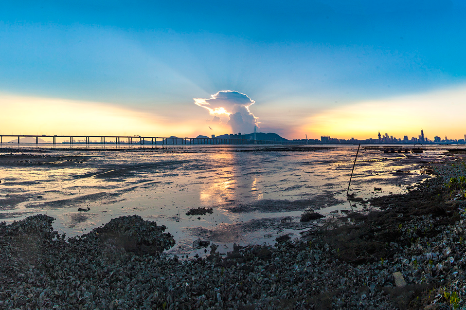 黃昏。海灣以北浮現繁盛剪影，海灣以南靜躺無數的蠔，不知有多久沒人留意。